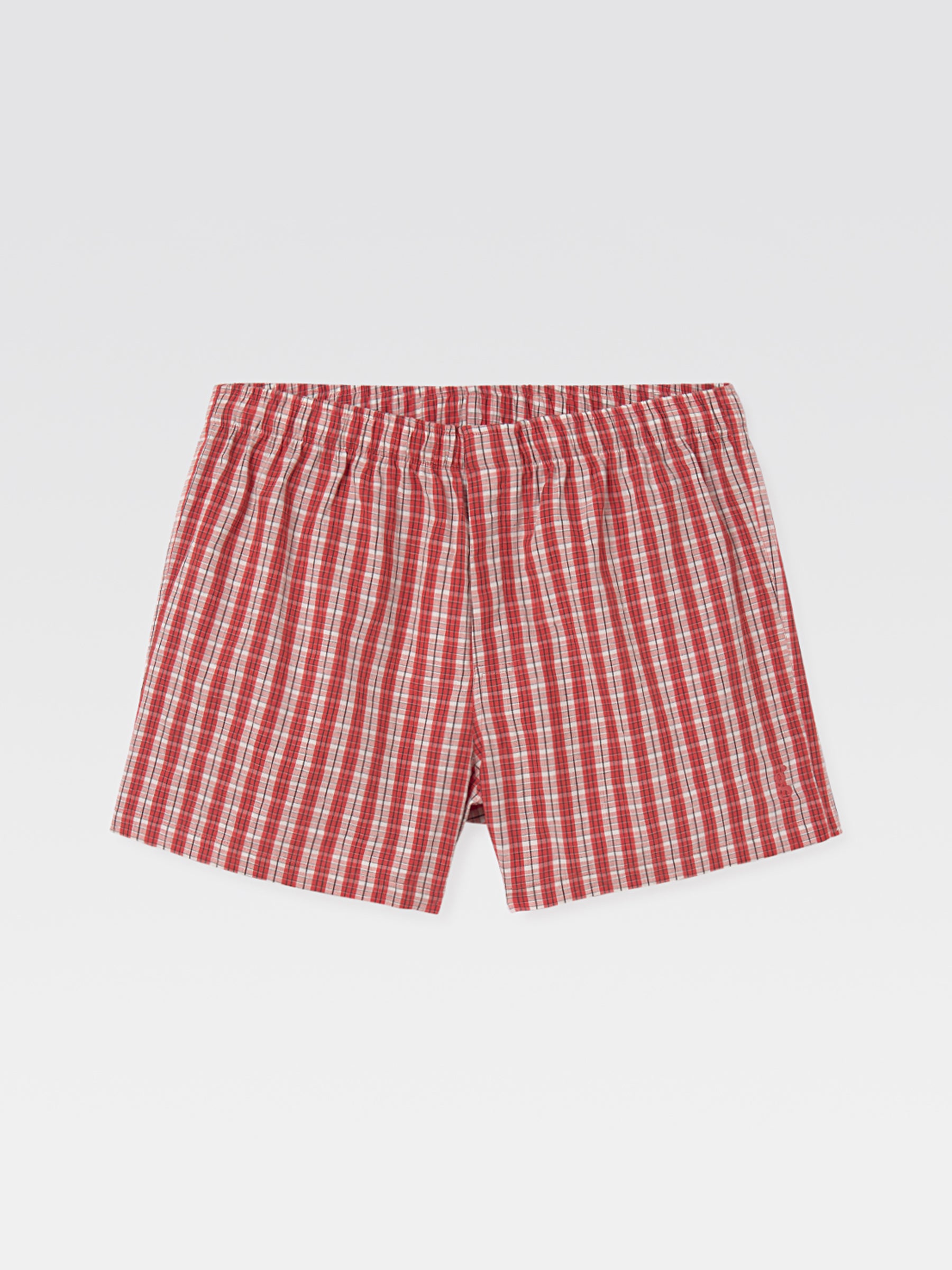 Male Boxer