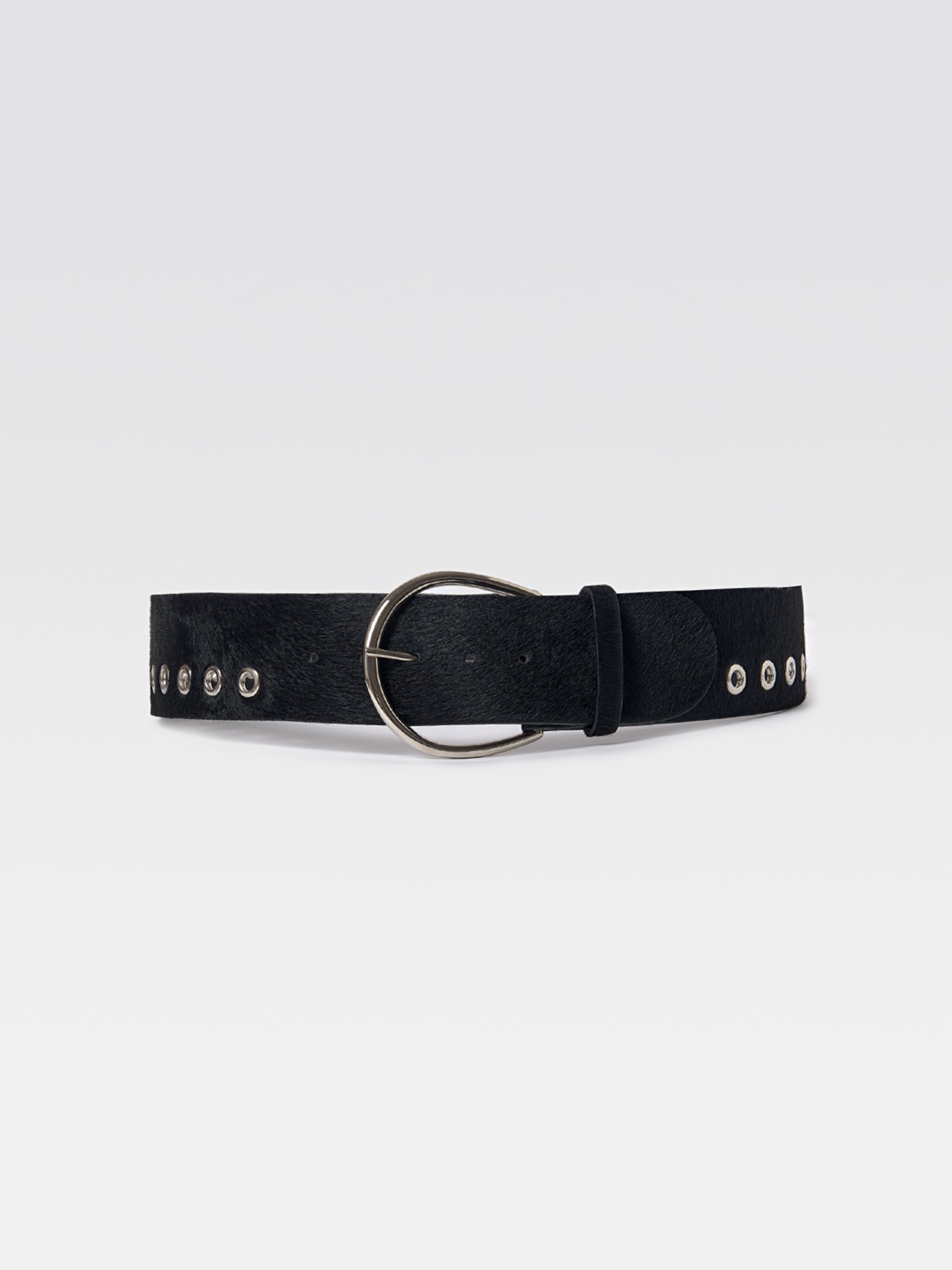 Nicolas Belt